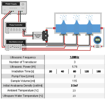 1.0MHz 초음파 복합 배치를 적용한 대량 용액 순환 시스템에서의 아나베나의 초음파 가진 시간에 따른 파쇄 특성을 연구하기 위한 시스템 및 상세 정보