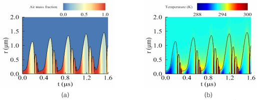 Rbo = 100nm , f = 3MHz , pA = 0.8MPa 압력 펄스 조건에서의 캐비테이션 해석 결과: (a) 공기의 질량 분율, (b) 온도장 결과