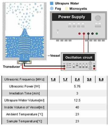 마이크로시스티스의 초음파 주파수별 파쇄 특성 연구를 위한 실험 시스템의 개략도 및 실험 조건들