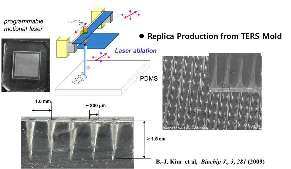 라만증강 미세팁 몰드 제작 공정 및 제작한 마이크로니들 몰드의 전자현미경 이미지의 예