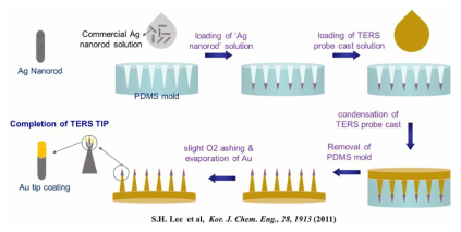 라만증강 미세팁 어레이 개발을 위한 공정 모식도