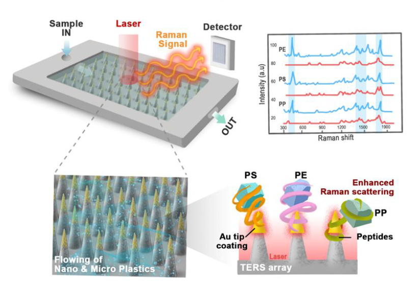 3대 미세플라스틱 및 이의 펩타이드-라만증강 미세팁 검출기기 개발