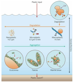 미세 플라스틱의 분해 및 크기에 따른 생태계로의 환경 위협 모식도