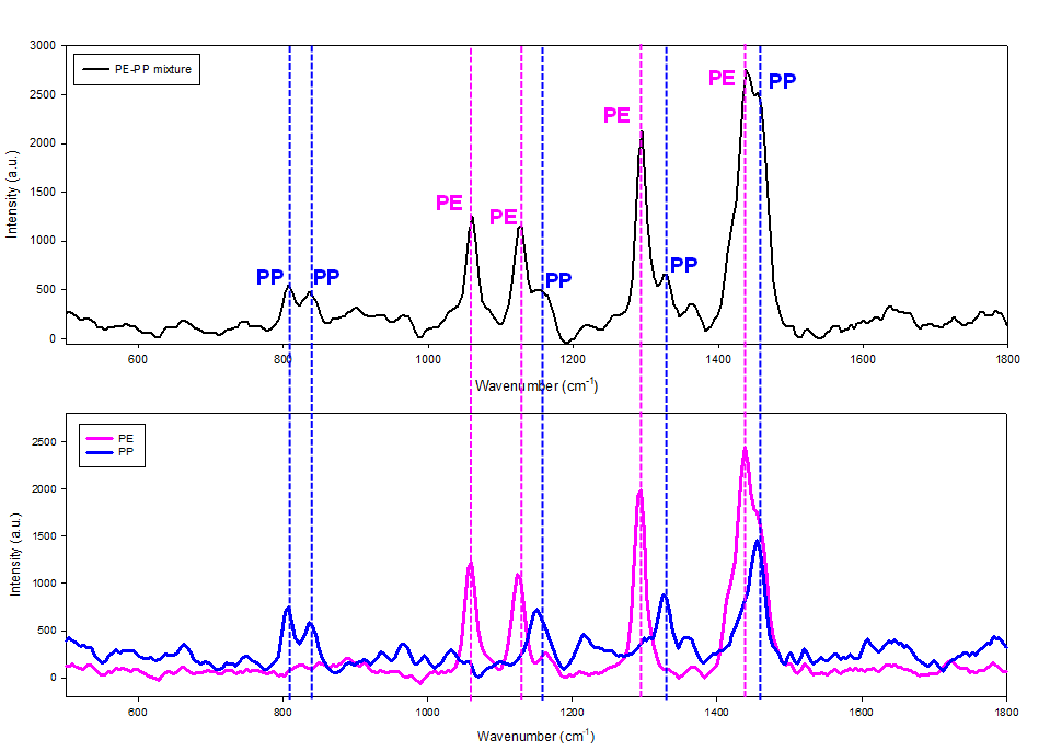 PE와 PP 미세플라스틱 혼합시료의 라만스펙트럼 (위). 혼합 시료의 peak 위치는 각각의 미세플라스틱의 그것과 일치함