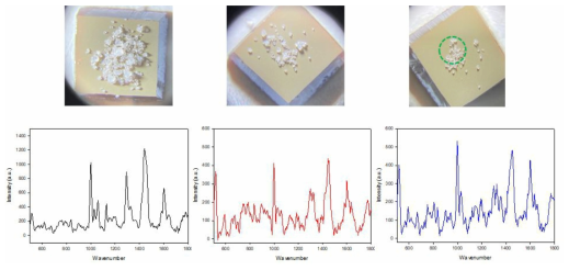 위 사진은 3종의 혼합 미세플라스틱을 양을 달리하여 SERS 기판에 올린 사진. 오른쪽이 양이 가장 많으며 왼쪽이 양이 가장 적음. 위 조건에서 측정한 라만 스펙트럼을 사진 아래에 나타냄