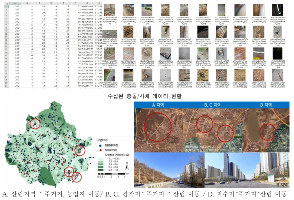 동물종 출현 지점 및 사체 확인 지점