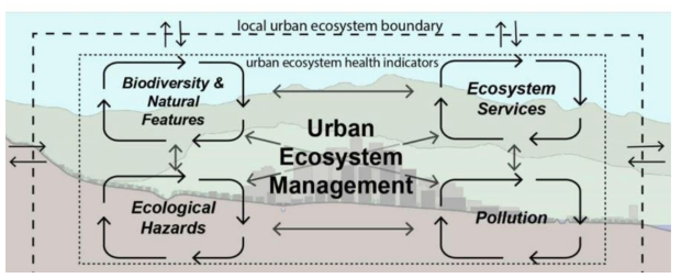 도시생태계 관리 프레임 *출처 : Savard et al., 2000, Biodiversity concepts and urban ecosystems, Landscape and Urban Planning 48(3-4):131-142, DOI:10.1016/S0169-2046(00)00037-2