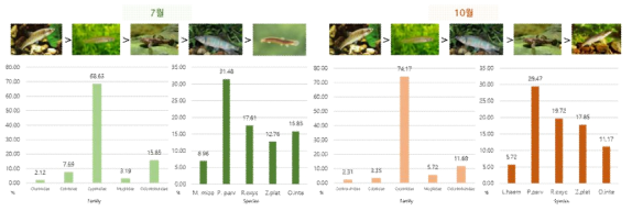 계절별(7월과 10월) 어류 종 조성 비교. 과 수준, 종 수준