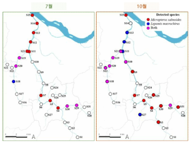 계절별(7월과 10월) 외래종 검출 지점 비교