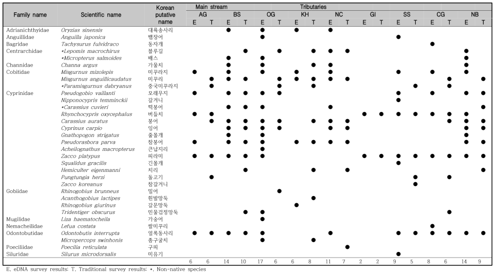 안양천 지점별 eDNA 검출 결과와 전통적인 현장조사 출현 종 비교