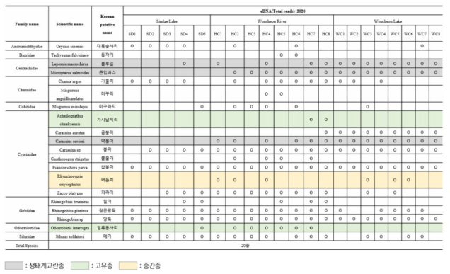 광교호수공원에서 eDNA를 활용하여 검출된 종 출현 목록