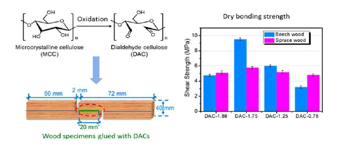 Dialdehyde cellulose로 제조한 목재접착제의 물성