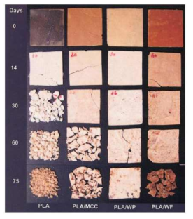 PLA 와 그 복합체들의 생분해성 단계