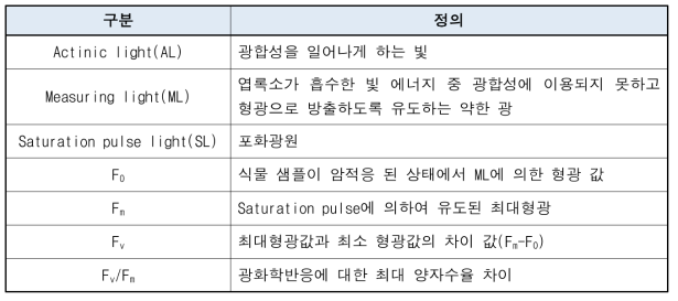 엽록소 형광 파라미터 관련 용어 해설