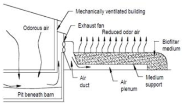 축사 외부에 설치된 바이오 필터의 구조 (미네소타대학교, 2000)