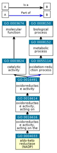 Response to stress pathway(utative aldo-keto reductase)