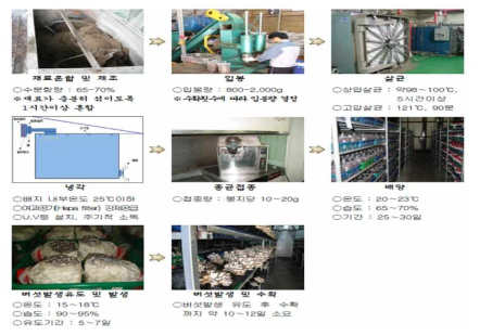 느타리버섯 봉지재배 방법 예