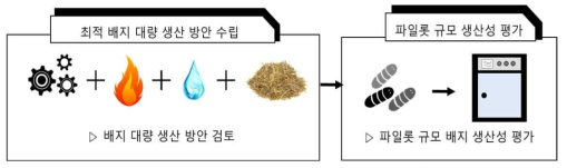 생물배지 개발 관련 3차년도 연구수행 내용