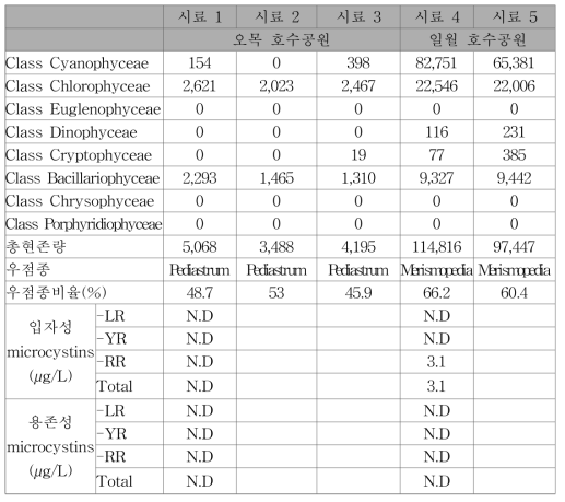 유입 원수 내 세포수 계수 및 독소 분석결과