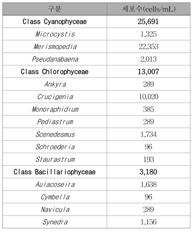 탈수기 탈리액 내 조류 종류별 세부 분석결과
