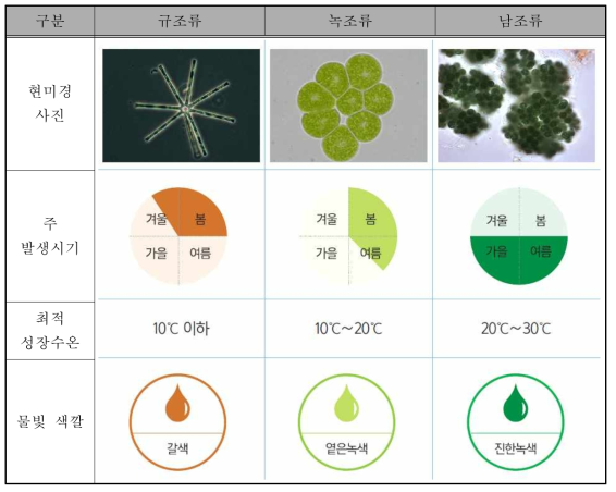 국내 담수조류의 특징