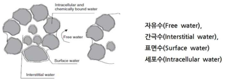 슬러지 내부의 수분 분포 상태