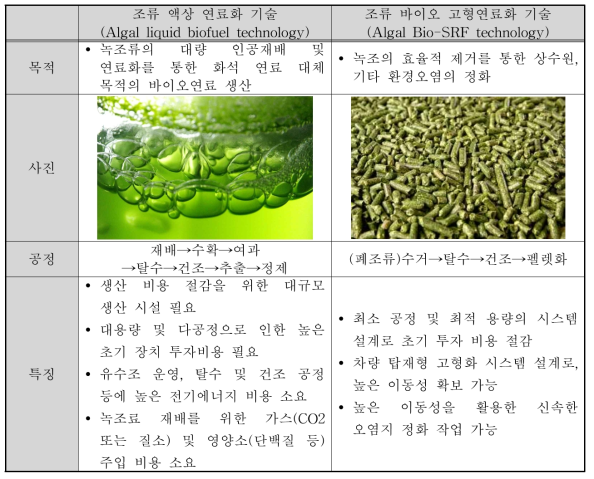 조류 액상 연료화 및 고형 연료화 기술 분석