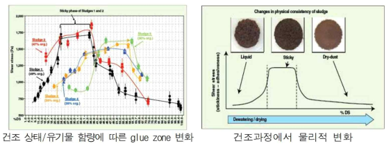 건조 과정에서의 glue zone 변화