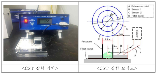 CST 실험장치 및 모식도