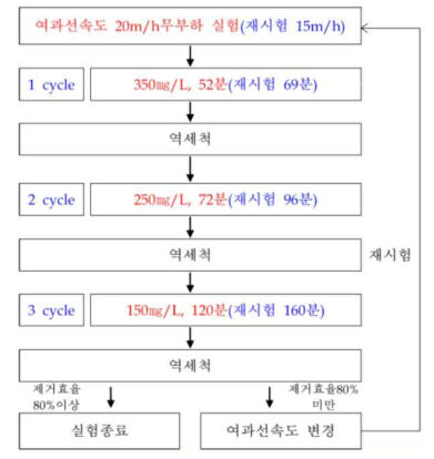 실험 순서