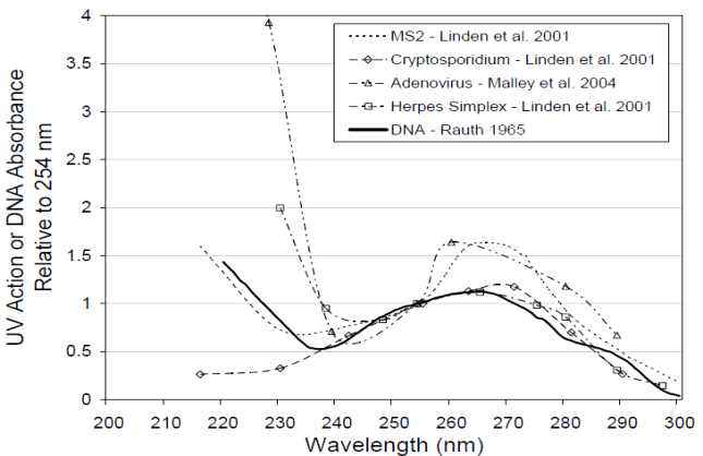 파장에 따른 미생물과 DNA의 흡수도 *출처: USEPA guidance manual