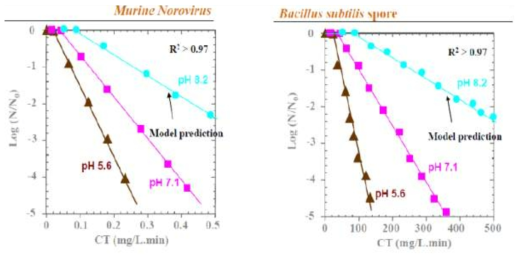 전기분해에 의해 생성된 염소에 의한 미생물의 불활성화 (좌): MNV, (우): B. subtilis spore (20℃)