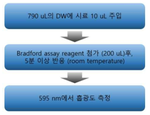 Protein[Bradford Protein Assay (595 ㎚)] 분석