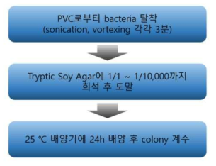 Protein[Bradford Protein Assay(595 ㎚)] 분석