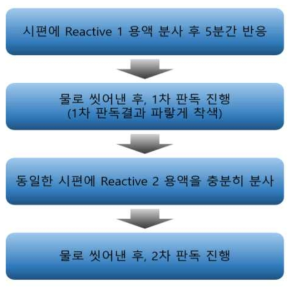 판독진행 절차