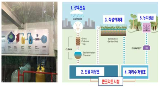 호주 브리즈번시 피츠로이 공원