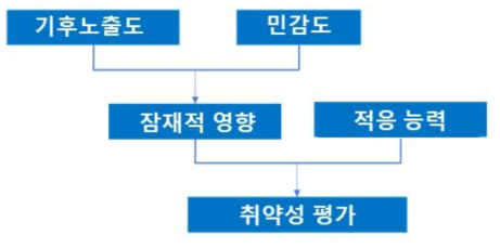 취약성의 개념