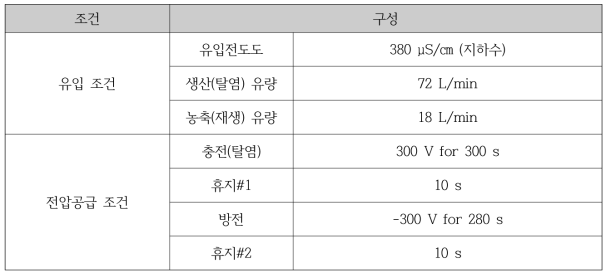 20 톤/일 규모 전극 탈이온시스템의 운전 조건