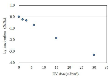 UV 소독에 의한 E.coli 불활성화(테스트베드지역 대상)