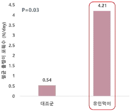 하루 평균 포획 황소개구리 올챙이