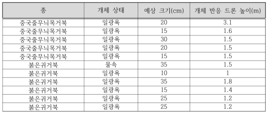 드론을 이용한 거북이 촬영 결과