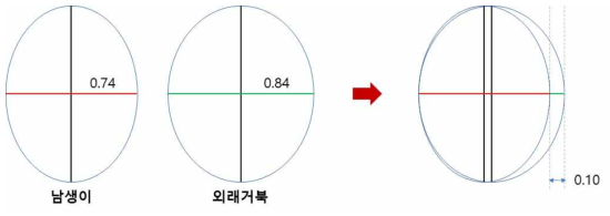 남생이와 외래거북 측정 결과 등껍질 비율 비교