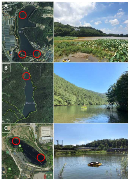 붉은귀거북 포획장치 설치 장소 인공위성 사진 및 현장 모습 (A: 경남 진주 금호지, B: 경남 창원 봉암수원지, C: 서울 서서울 호수공원)
