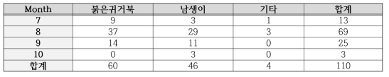 월별 발견된 로드킬 개체수