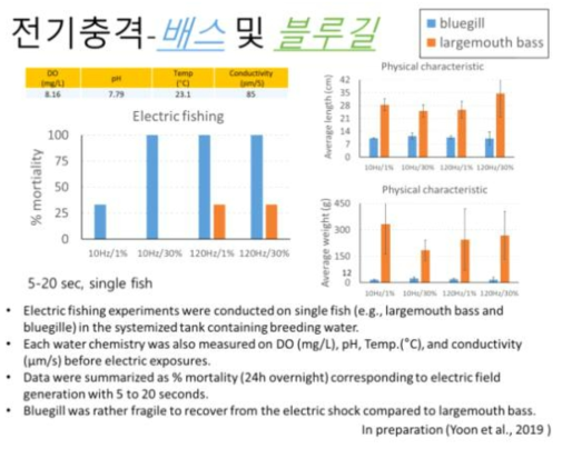 단일 피험체에 대한 전기충격 조건 별 배스 및 블루길 부정적 영향