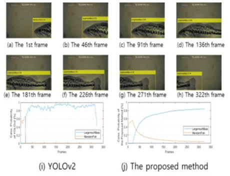 Classification performances for video frames: Largemouth Bass(83%)