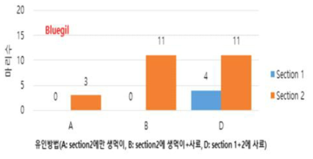 먹이를 이용한 블루길의 유인 효과 결과