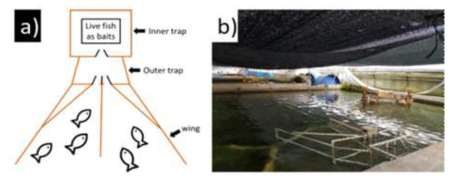 a) PVC 생태 트랩 모사도 및 b) 육상양식시설 수조 내 트랩의 설치 전경