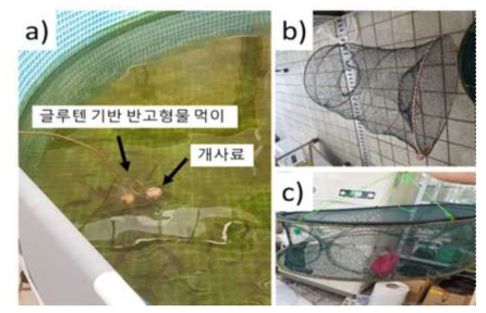 연구소 내부 대형수조 내 먹이를 이용한 유인 효과 실험