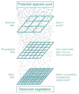 환경인자 필터에 의한 식물 정착